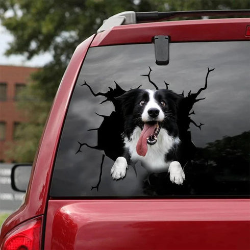Dog Lover Border Collie Dog Cracked Car Decal Sticker - Waterproof - PVC Vinyl - S1029