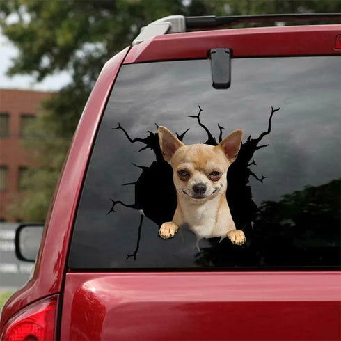 Dog Lover Chihuahua Cracked Car Decal Sticker - Waterproof - PVC Vinyl - S1010