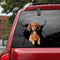 Dog Lover Dachshund Cracked Car Decal Sticker - Waterproof - PVC Vinyl - S1023