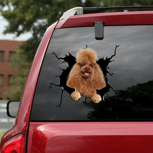 Dog Lover Funny Poodle Dog Cracked Car Decal Sticker - Waterproof - PVC Vinyl - S1036