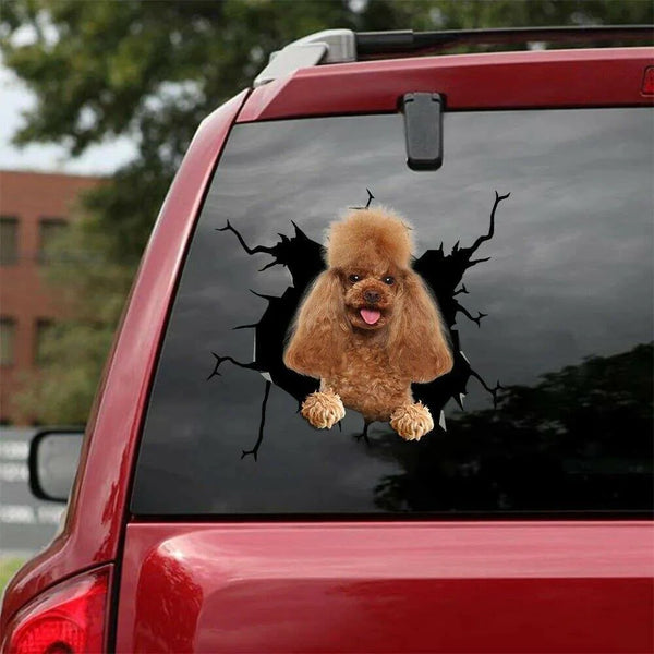 Dog Lover Funny Poodle Dog Cracked Car Decal Sticker - Waterproof - PVC Vinyl - S1036