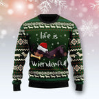 Dachshund Wienderful Dog Lover Funny Ugly Christmas Sweater For Women & Men - Christmas Gift